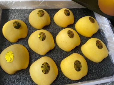 Táo vàng Nhật Kinsei