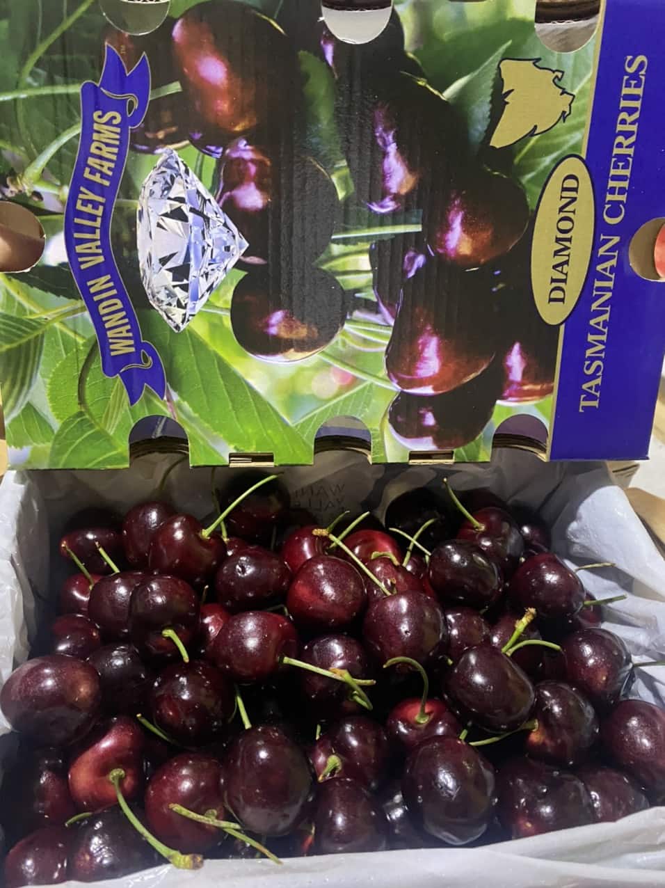 Cherry mật Úc Tasmania