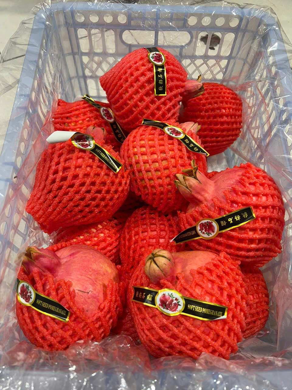 Bảng báo giá
