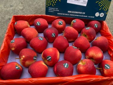 Táo Dazzle Organic New Zealand