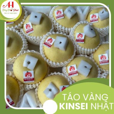 Táo Vàng Nhật Kinsei
