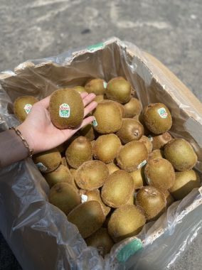 Kiwi xanh Zespri New Zealand