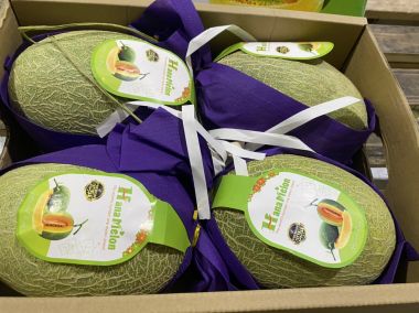 Dưa lưới mật Đài Loan