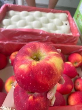 Táo Juliet Organic Pháp