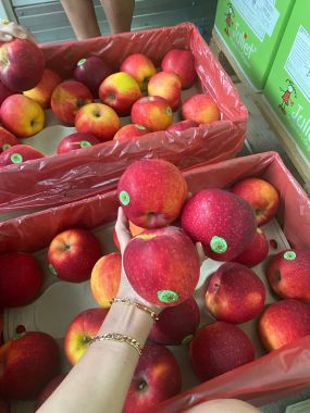 Táo Juliet Organic Pháp