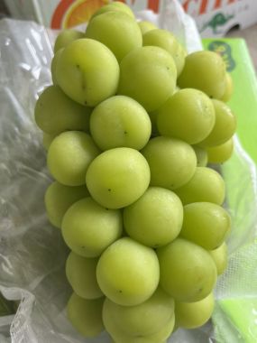 Nho Mẫu Đơn Đài Loan