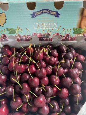 Cherry Úc Tasmanian