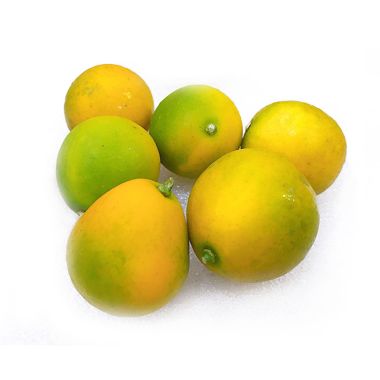 Kim quất đường Đài Loan