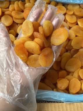 MƠ SẤY DẼO THỔ NHỈ KỲ