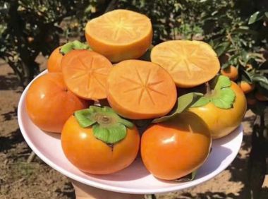 Hồng Mật Vân Sơn