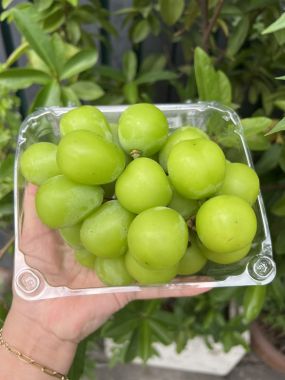 Nho Mẫu Đơn Đài Loan