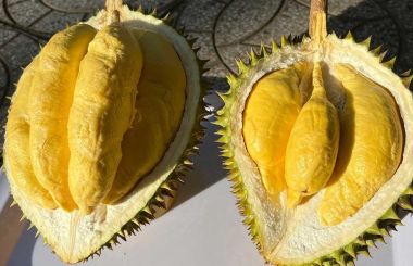 Sầu Riêng Musang King Việt Nam