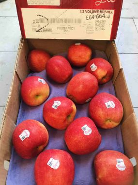 Táo Envy Thùng Sỉ-  Hot Deal Combo Táo Mùa Hè