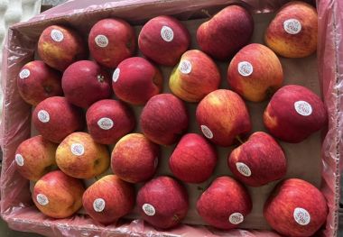 Táo Envy Thùng Sỉ-  Hot Deal Combo Táo Mùa Hè