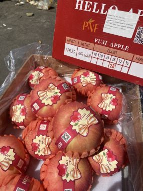 Táo Fuji Nơ Size 24