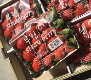 Dâu Tây Hàn Quốc Ngọt