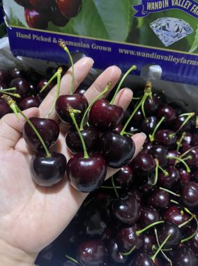 Cherry Úc Tasmanian