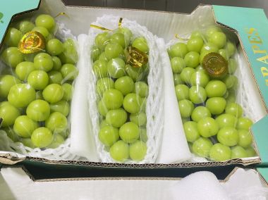 Nho Mẫu Đơn Đài Loan