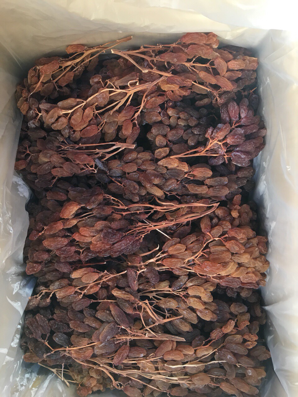 nho khô nguyên cành Úc