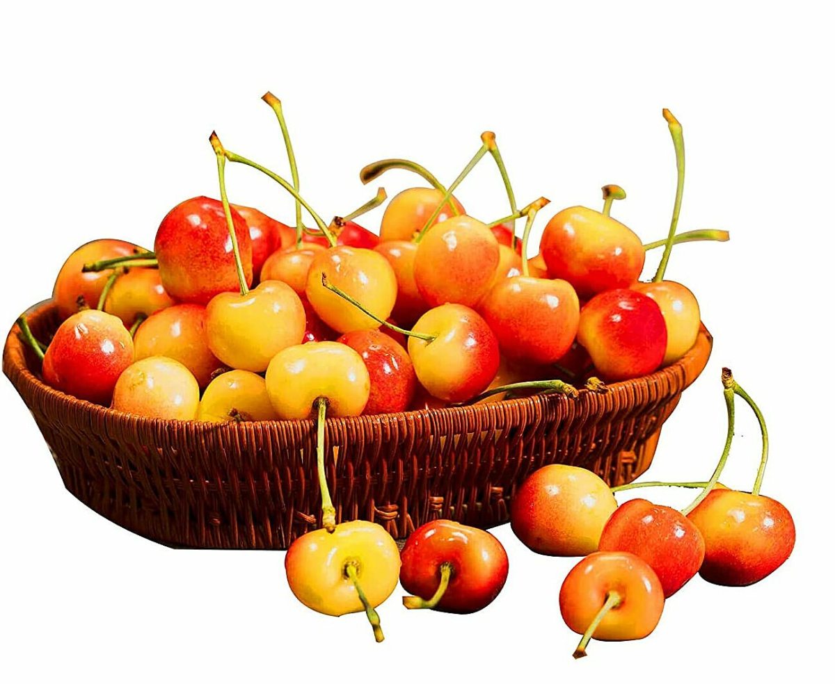 Cherry Vàng Mỹ