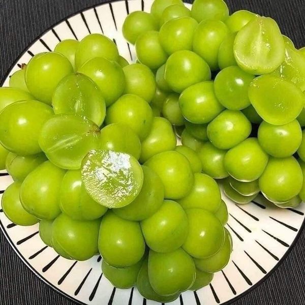 Nho mẫu đơn Đài Loan