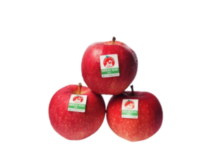 Táo đỏ Sekaiichi Nhật