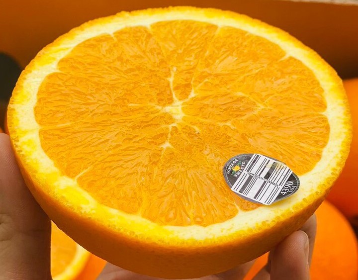 Cam Vàng Mỹ Vintage
