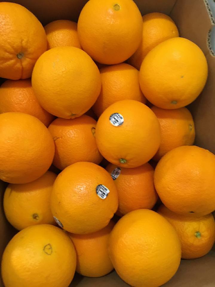 cam navel sunkist mỹ 4.5kg