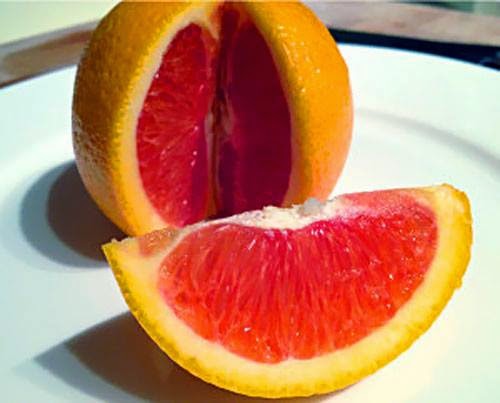 cam cara ruột  đỏ