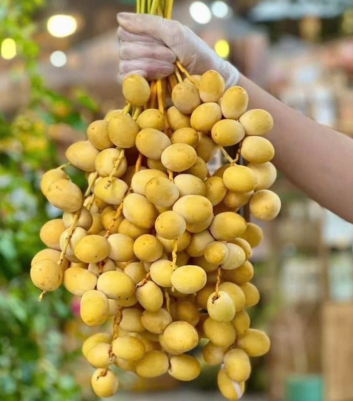 chà là vàng tươi Thái Lan