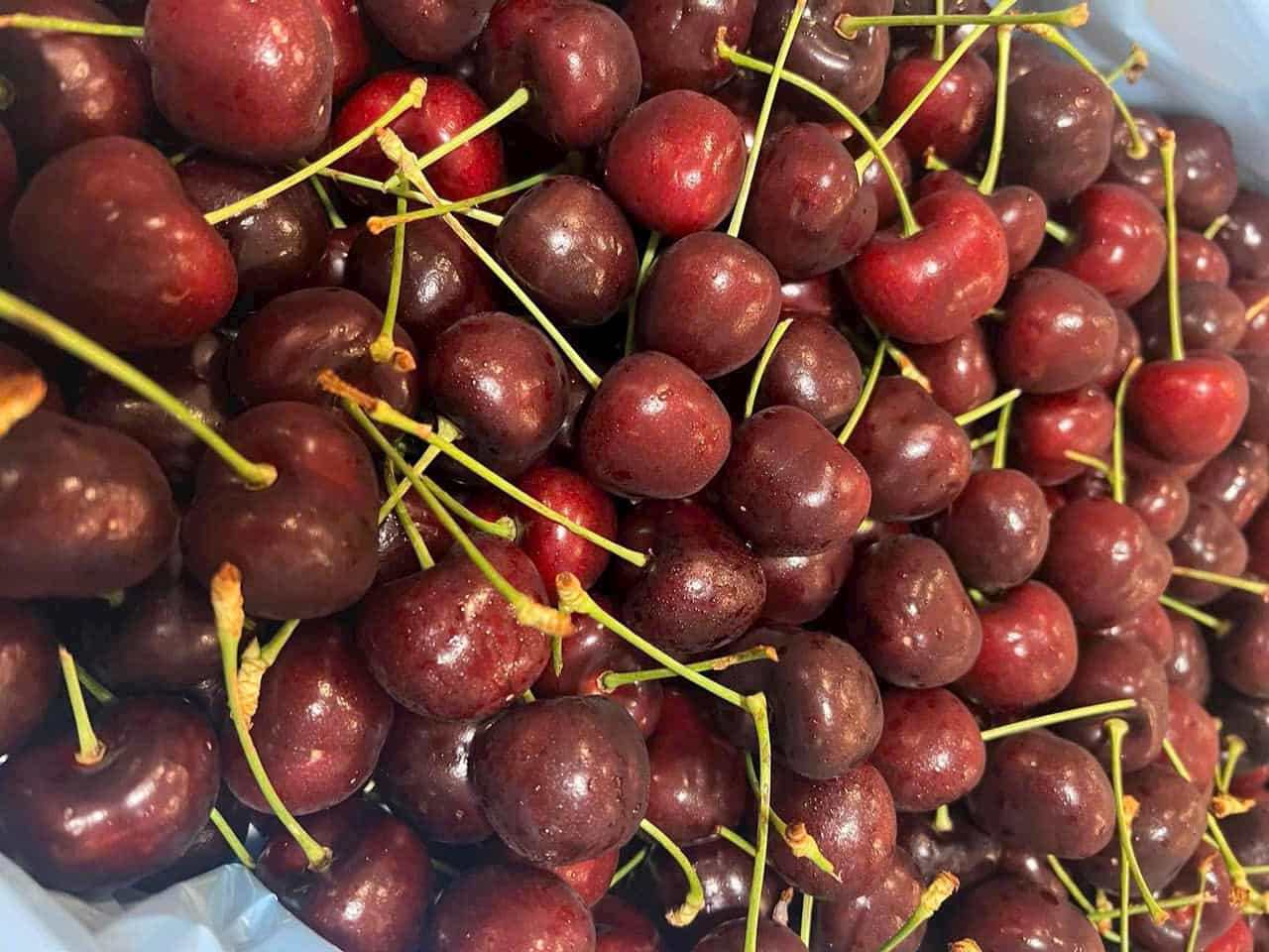 cherry mỹ