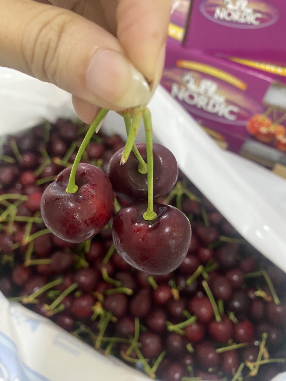 cherry mỹ nordic