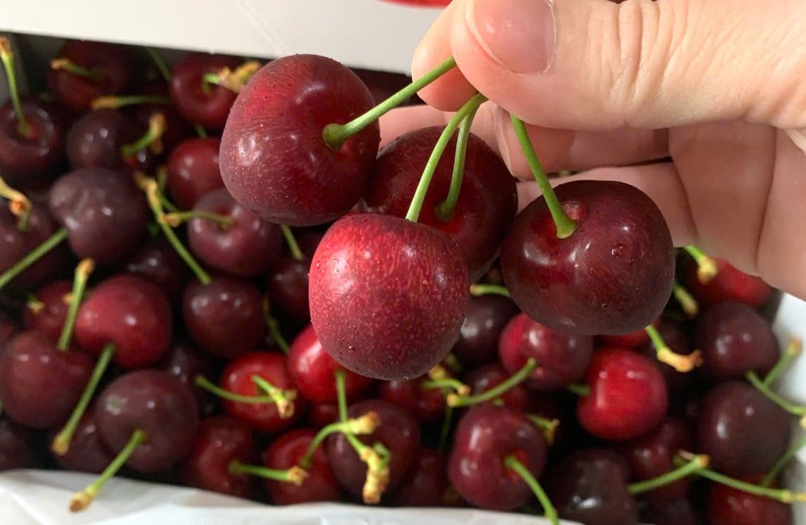 Cherry New Zealand Hộp 2Kg