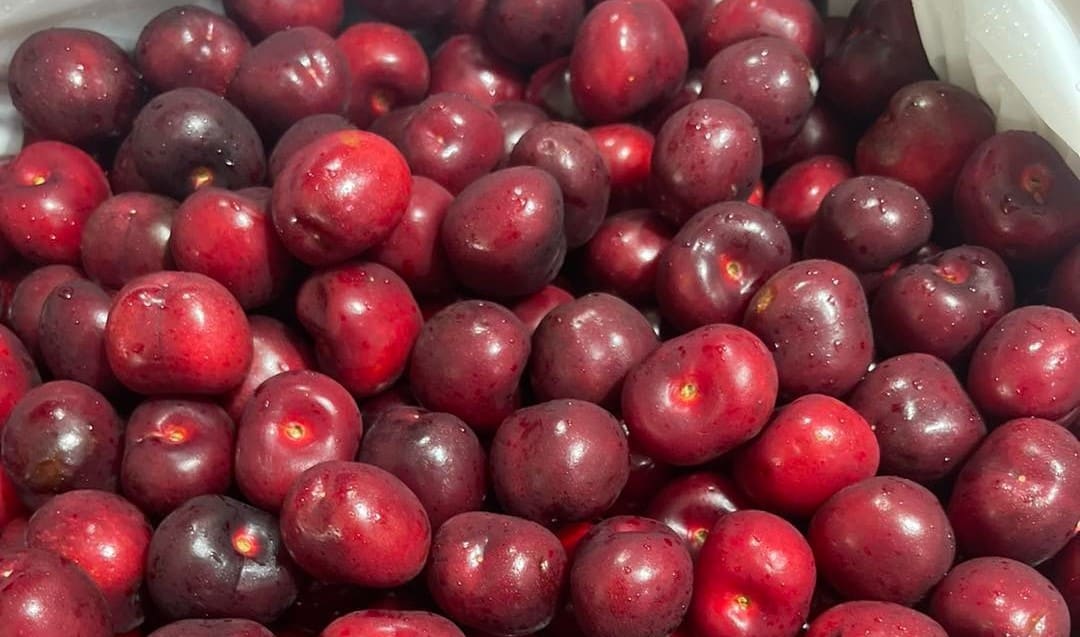 Cherry New Zealand Sale