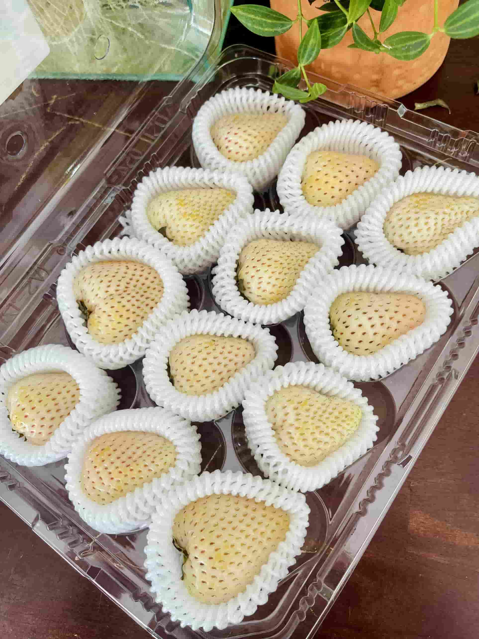 Dâu Bạch Tuyết Hàn Quốc Hộp 500g Sale