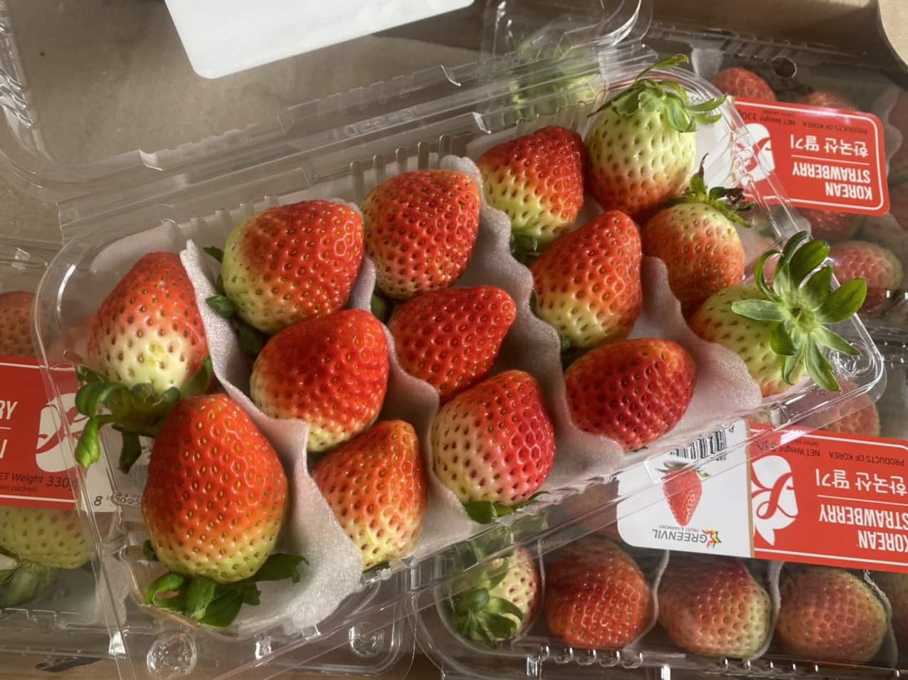 Dâu Hàn Quốc GREENVIL