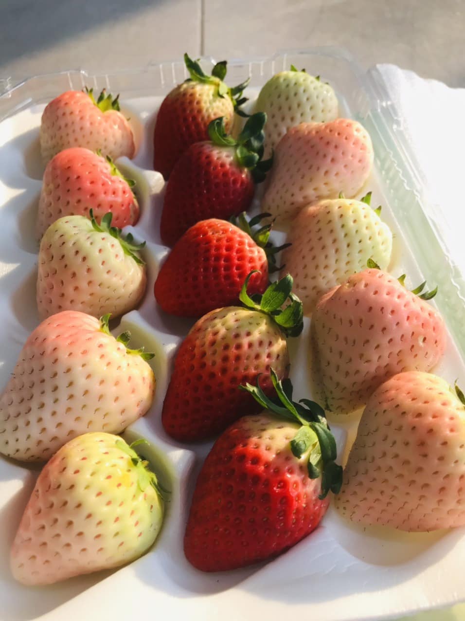 Dâu Hàn Mix - Hộp Dâu Tây Đỏ Và Dâu Bạch Tuyết