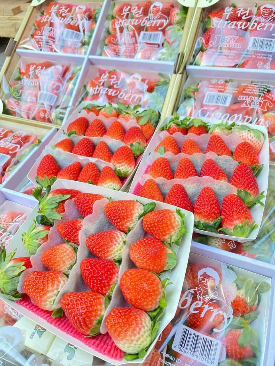 Dâu Tây Hàn Quốc Joy Farm