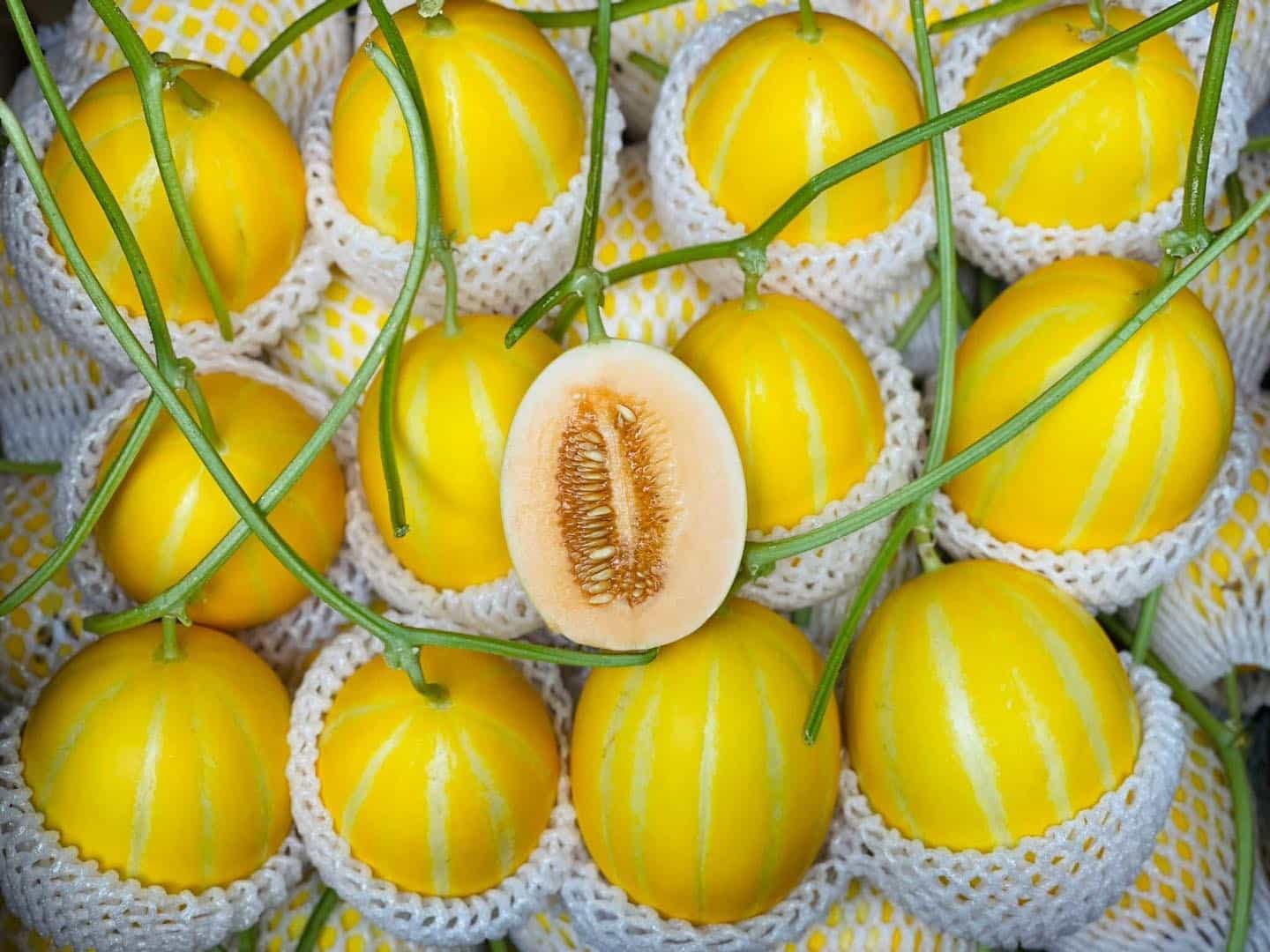 Dưa Lê Hoàng Kim Hàn Quốc