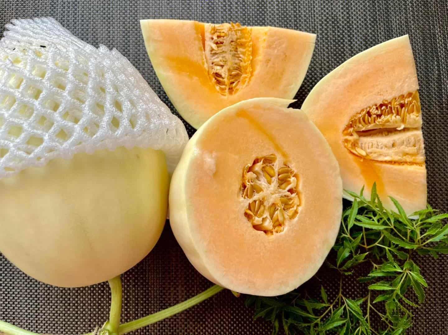 Bảng báo giá