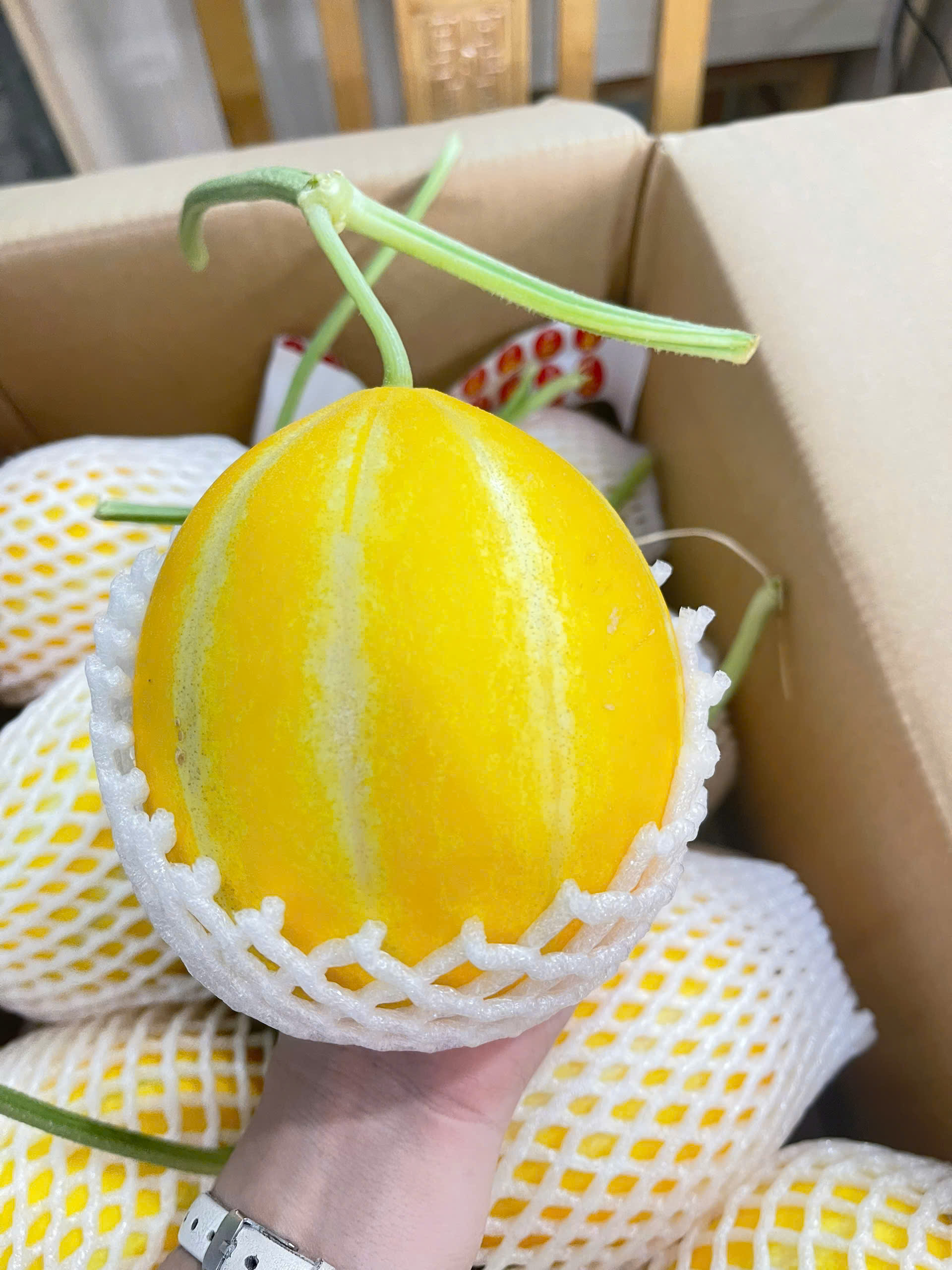 Bảng báo giá