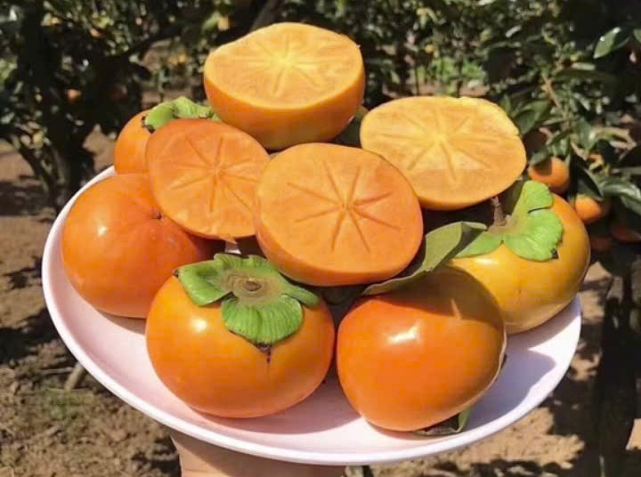 Hồng Mật Vân Sơn