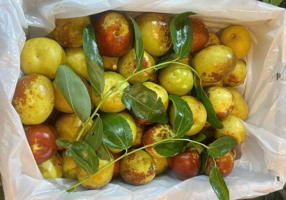 Hồng Táo Nhập Khẩu