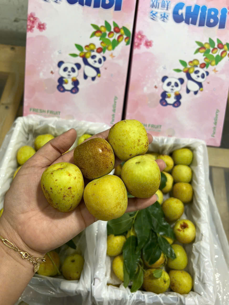 Bảng báo giá