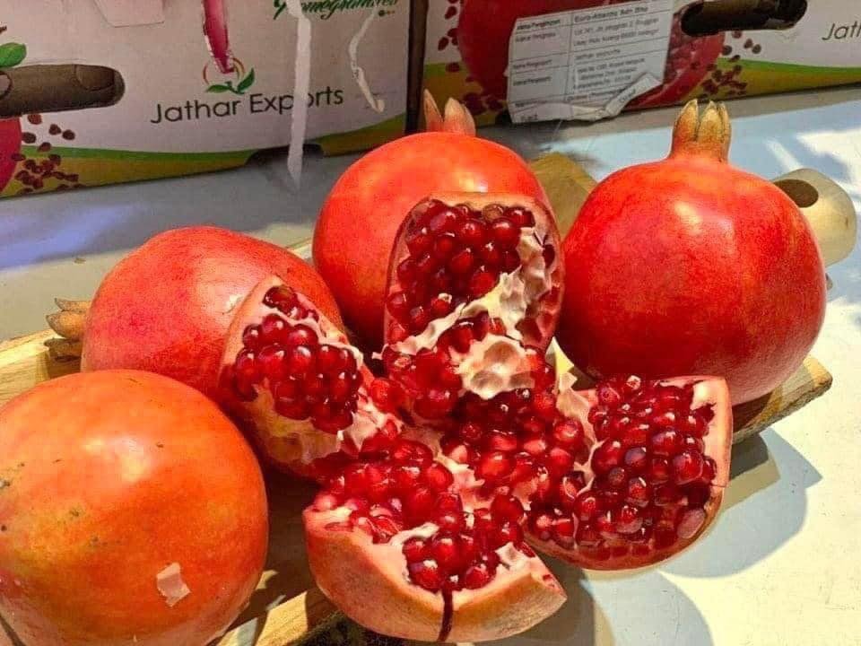 Lựu Ấn Độ Sale