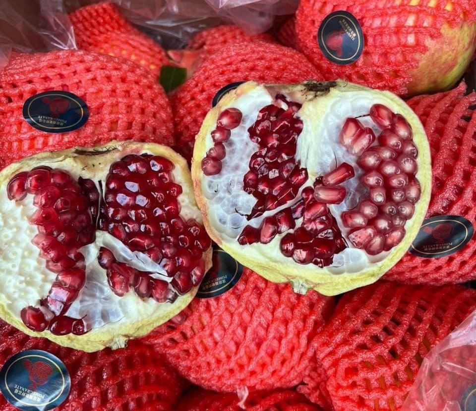 Bảng báo giá
