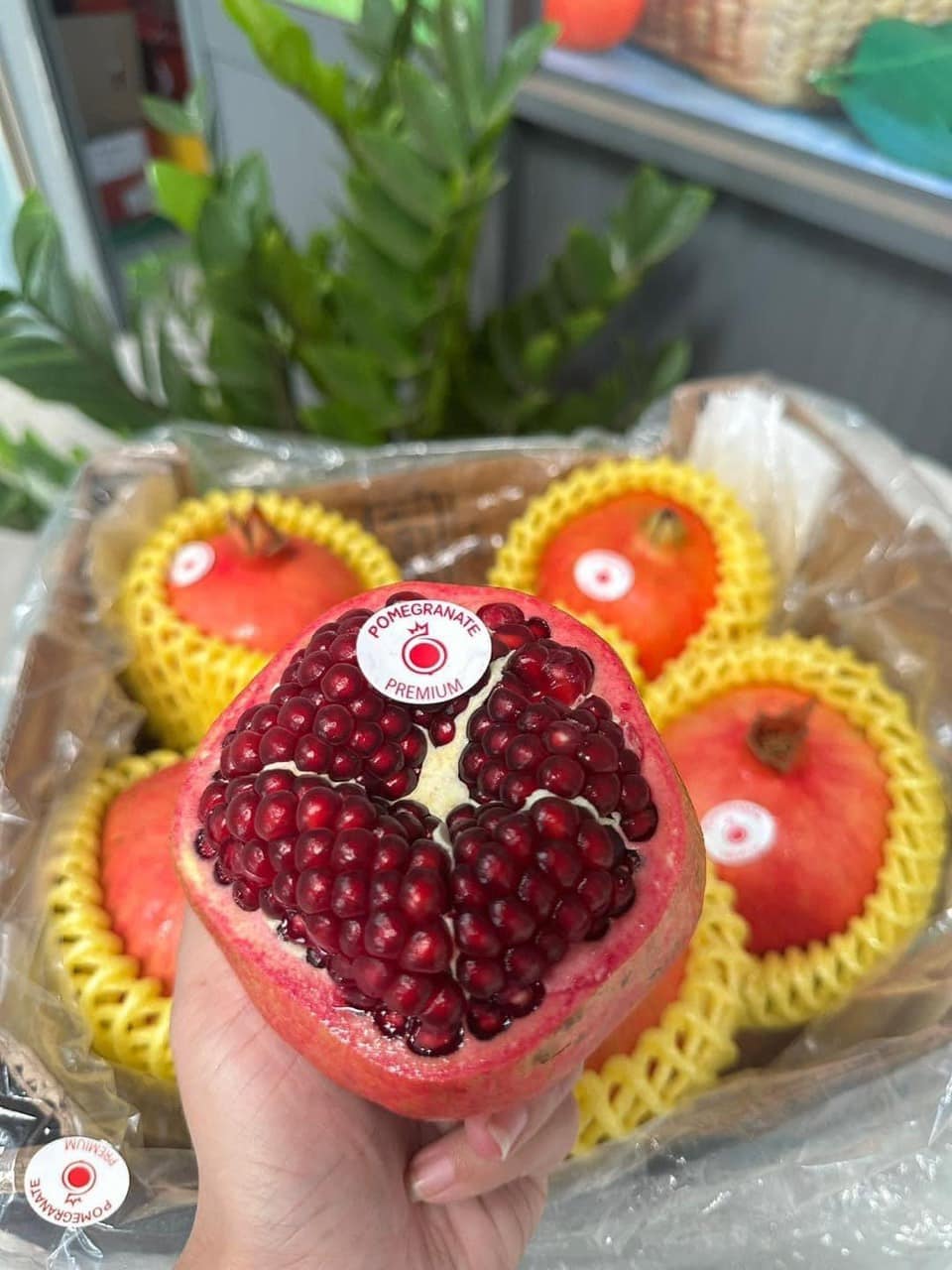 Lựu Peru Ngọt Size Lớn