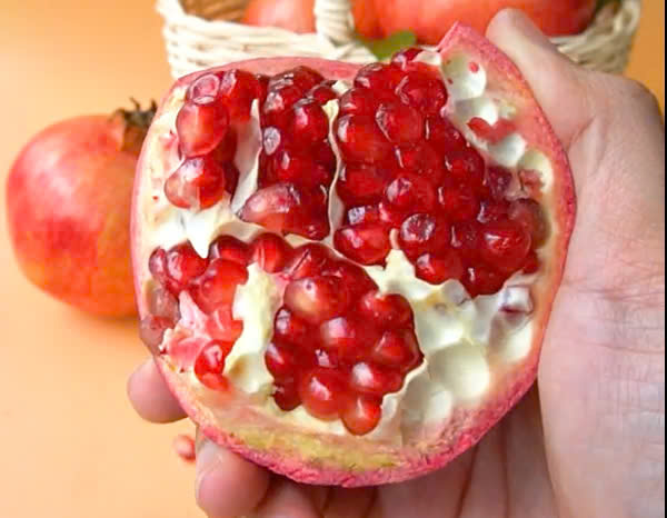 lựu tusinia nhập khẩu 