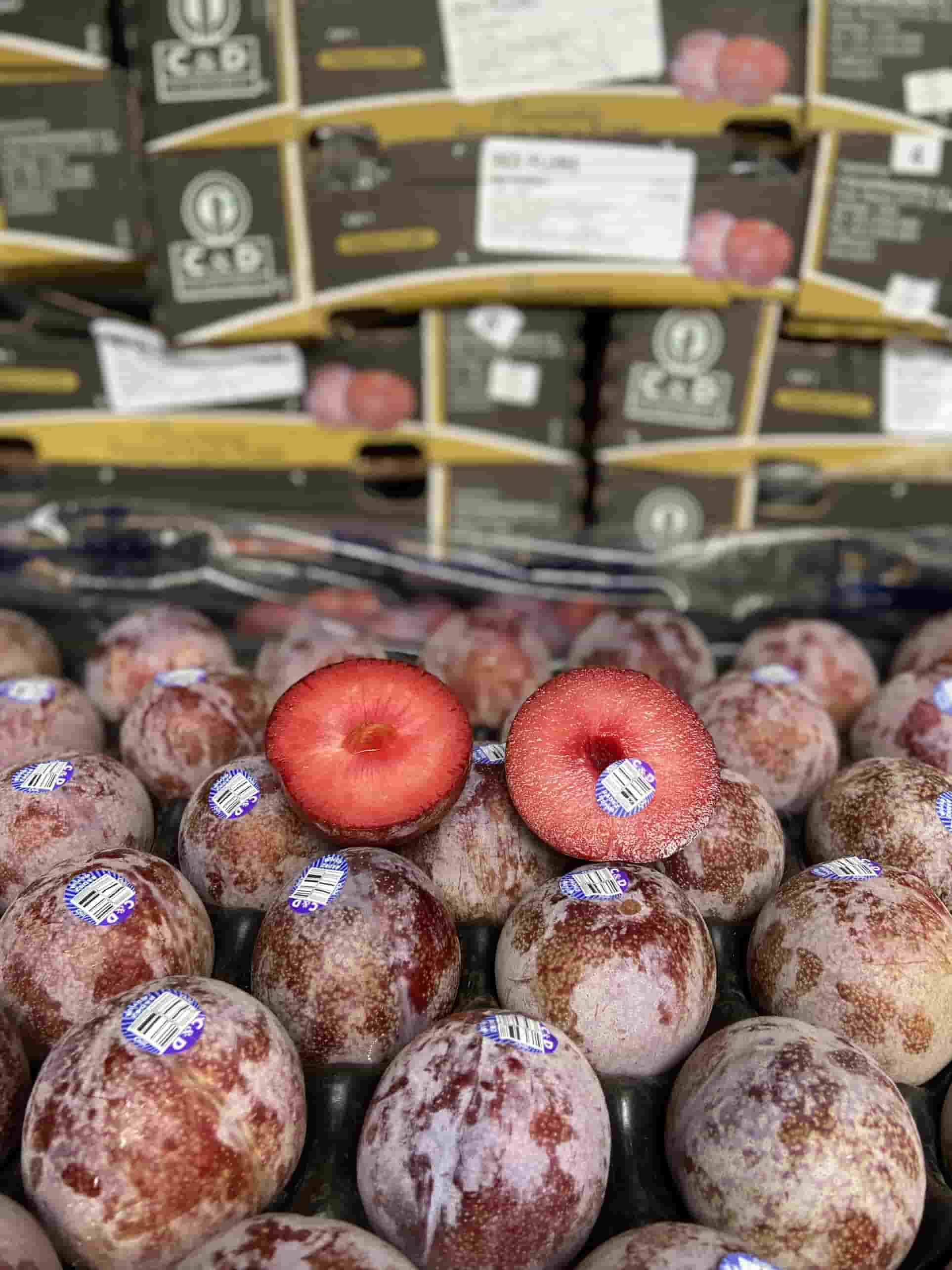 Mận Chile Ruột Đỏ