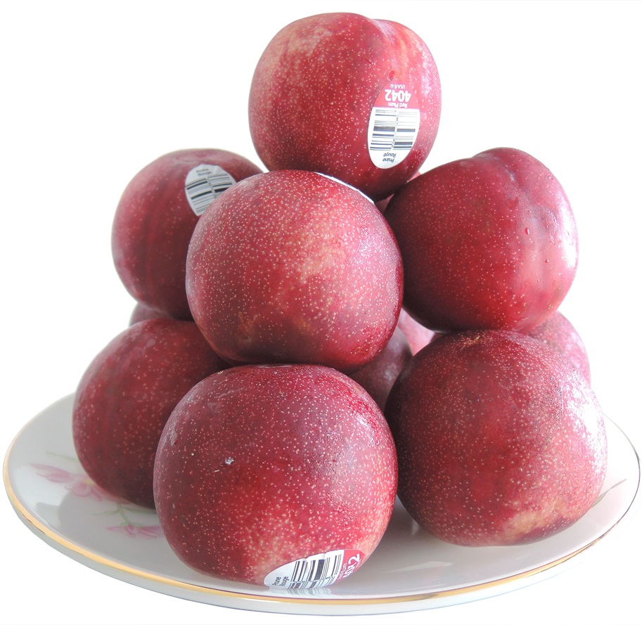 Bảng báo giá
